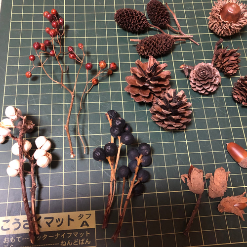B 木の実セット きのみセット どんぐり 松ぼっくり 図画工作 リース花