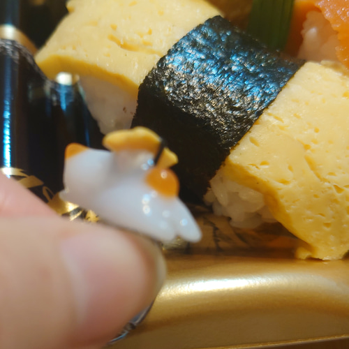 R⌇お寿司 にゃんこ まぐろ マグロ たまご サーモン 鮪寿司 寿司 量産