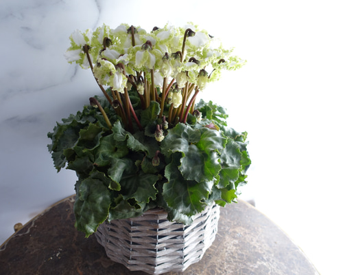 bb99190fc9c8ce99e5e7cafc31dc2e