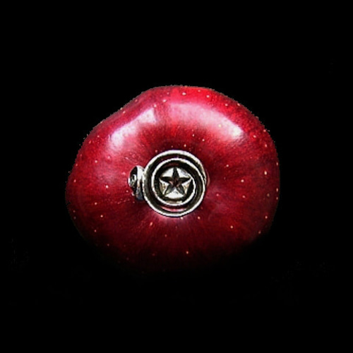 リンゴ銀河 apple galaxy (指環 指輪 ゆびわ シルバー 925