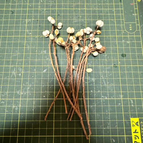 hanatokito ナンキンハゼ ドライフラワー 250本 hanatokito様専用 ナンキンハゼ ドライフラワー 250本 ナンキンハゼS