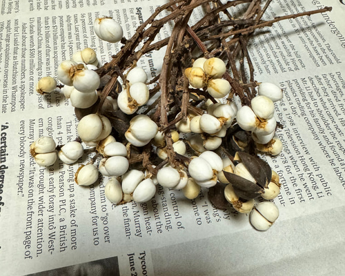 f69de14e8e086058f966382967ce97