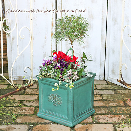 花寄せ植え プランツギャザリング ティーツリートピアリー