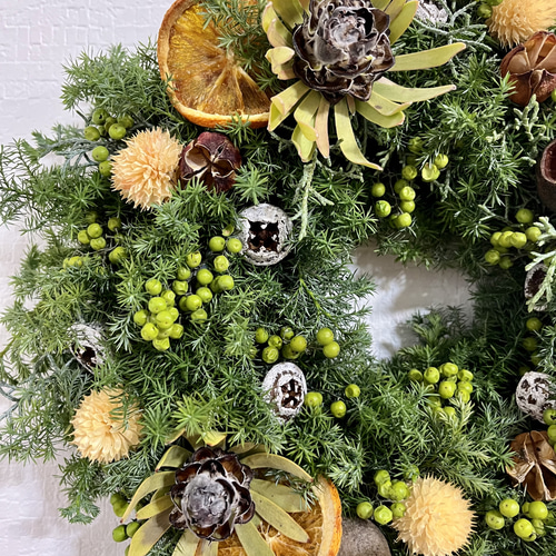 ドライフラワーリース 木の実たっぷり リース Flower largo 通販