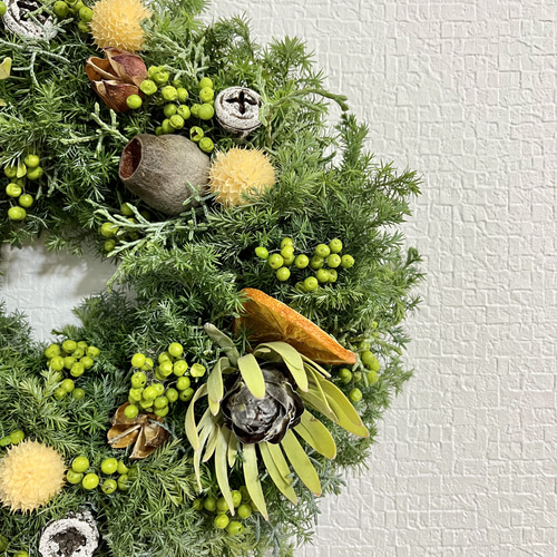 ドライフラワーリース 木の実たっぷり リース Flower largo 通販