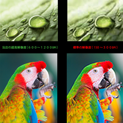 Q ♡エレガントな美しいバラ ポスター絵画 ゴージャスゴールド金色額装