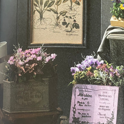 《可愛いBOOK 本型 鉢 》ヌヴェルスタンド 観葉植物 多肉植物 お花の寄せ植えに ガーデニング ビオラ パンジー ㉚ 2枚目の画像