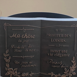 《可愛いBOOK 本型 鉢 》ヌヴェルスタンド 観葉植物 多肉植物 お花の寄せ植えに ガーデニング ビオラ パンジー ㉚ 13枚目の画像