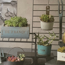 《可愛いBOOK 本型 ブリキポット鉢 》観葉植物 多肉植物 お花の寄せ植えに ガーデニング ビオラ アンティーク ㊶ 2枚目の画像