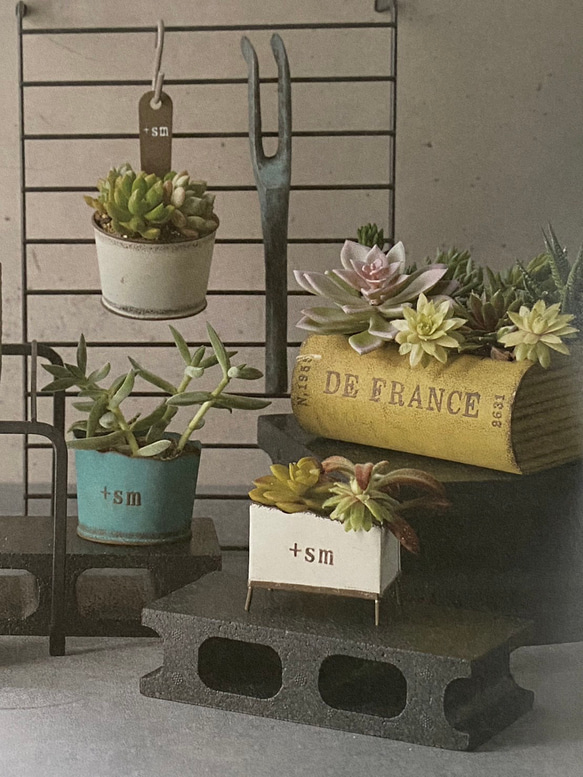 再販♪《可愛いBOOK 本型 ブリキポット鉢 》観葉植物 多肉植物 お花の寄植え ガーデニング ビオラ アンティーク ㊸ 2枚目の画像