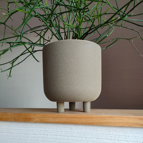 ミルクブッシュ 鉢カバー付き 観葉植物 お洒落 スタイリッシュ