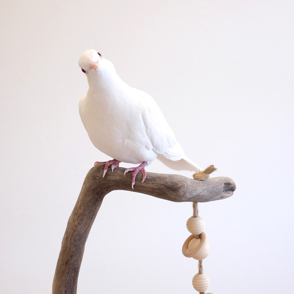 流木とまり木 S｜おもちゃとステージ付 5枚目の画像