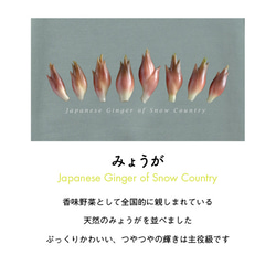 ［着る山菜］ビッグシルエット みょうがパーカー（スモーキーグリーン） 3枚目の画像