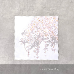 -しだれ梅- 花と草木のクリーニングクロス・メガネ拭き（15cm×15cm） 3枚目の画像