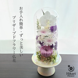 特選 仏花 お供え花 ガラスドーム 胡蝶蘭 プリザーブドフラワー