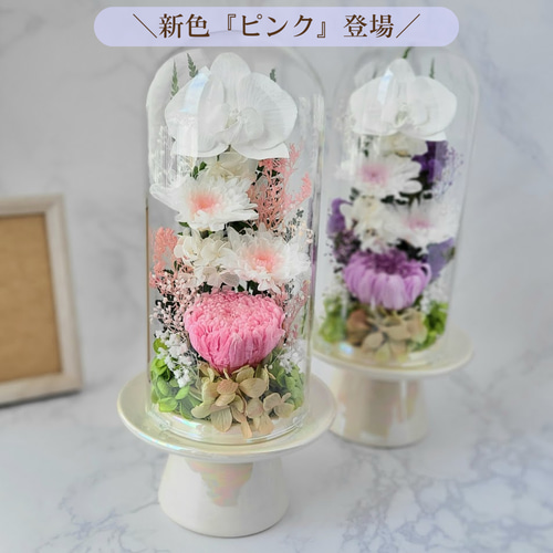 楽天市場】プリザーブドフラワー 仏花 ガラスドーム 一対 大きめ