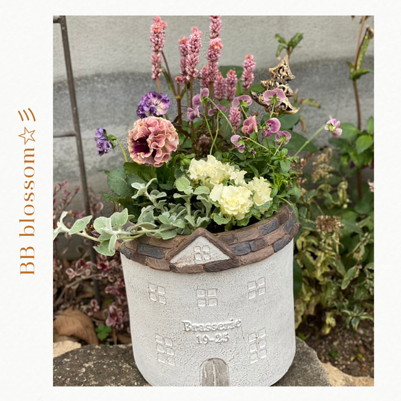 ◇セール開催中◇寄せ植え Xmasお正月に フラワーピック付 激