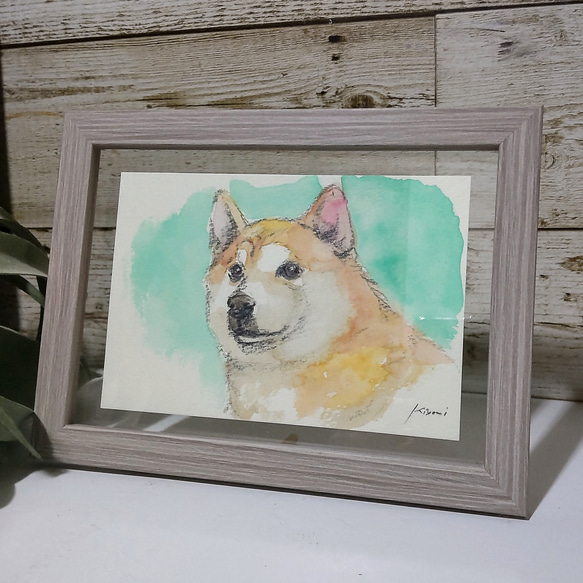 柴犬（水彩画） 3枚目の画像