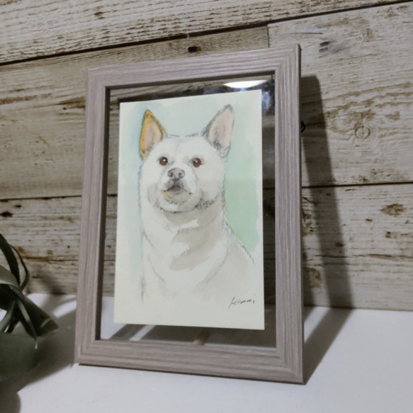 柴犬（水彩画） 2枚目の画像