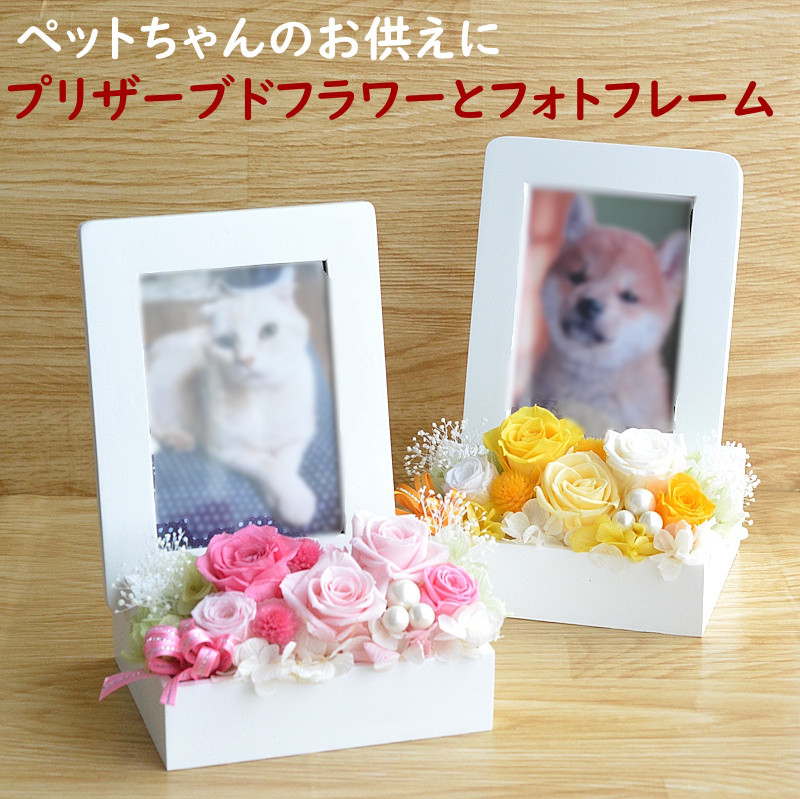 ペットお供え 写真立て プリザーブドフラワー 遺影 仏花 お悔やみ ペットメモリアル 仏具 ミニ祭壇 ペット供養 虹の橋 4,784円