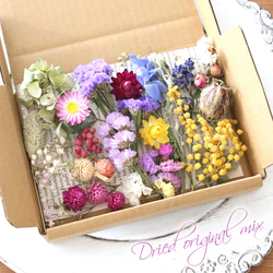 オリジナルB） ドライフラワー 詰め合わせ 花材セット【メール便送料