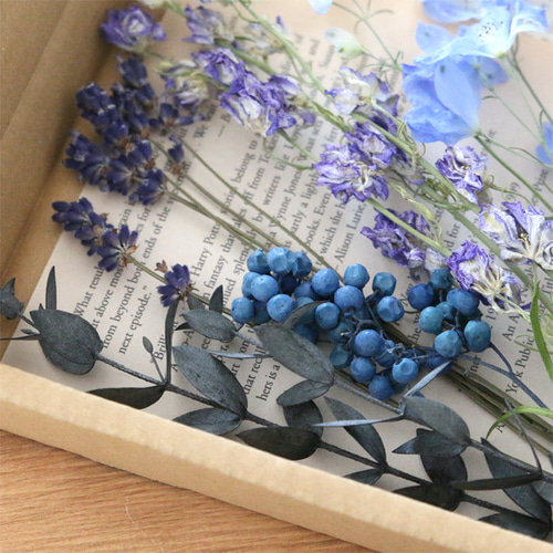 ブルー系】 ドライフラワー 花材 詰め合わせ セット【メール便送料無料