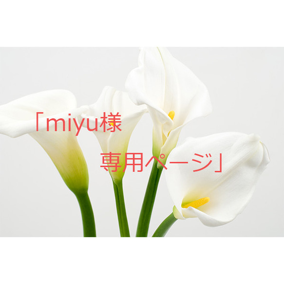 「miyu様」専用ページ 1枚目の画像