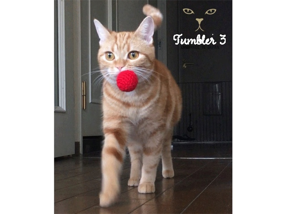 色トリドリ・猫が遊ぶ毛糸ボール（クリスマス） 6枚目の画像