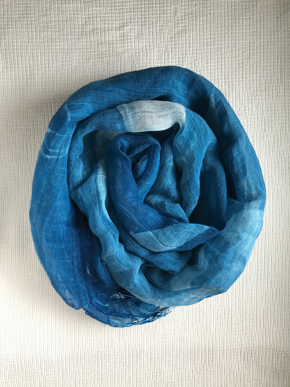 ブルー サン コットン スカーフ - フライング バタフライ ジンジャー ボタニック シアノタイプ スカーフ - バタフライ リ 6枚目の画像