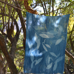 ブルー サン コットン スカーフ - フライング バタフライ ジンジャー ボタニック シアノタイプ スカーフ - バタフライ リ 2枚目の画像