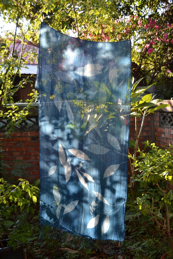 藍曬棉麻圍巾 - 飛舞蝴蝶薑 Botanic Cyanotype Scarf - Butterfly Lily 第1張的照片