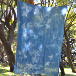 青い太陽の綿のスカーフ - Botanic Cyanotype Scarf - Passiflora 1枚目の画像