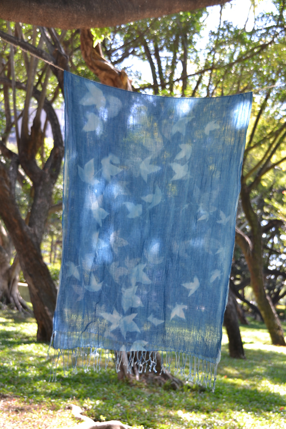 青い太陽の綿のスカーフ - Botanic Cyanotype Scarf - Passiflora 1枚目の画像