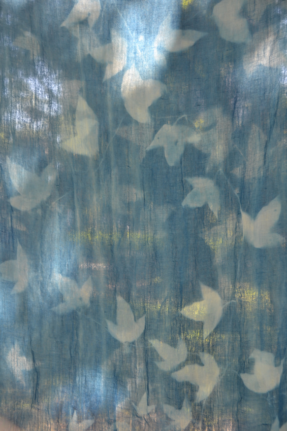 青い太陽の綿のスカーフ - Botanic Cyanotype Scarf - Passiflora 3枚目の画像