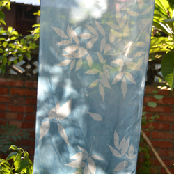 藍曬絲巾 - 飄逸接骨木 Botanic Cyanotype Silk Scarf - Elder Leaves 第5張的照片