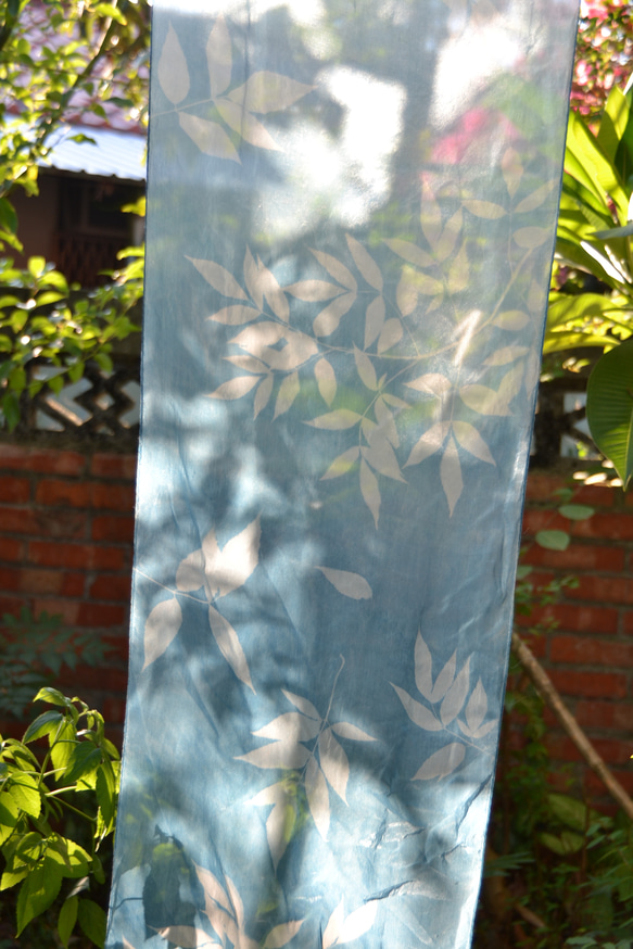 藍曬絲巾 - 飄逸接骨木 Botanic Cyanotype Silk Scarf - Elder Leaves 第5張的照片