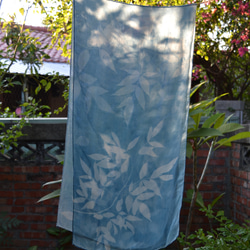 藍曬絲巾 - 飄逸接骨木 Botanic Cyanotype Silk Scarf - Elder Leaves 第3張的照片