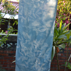 藍曬絲巾 - 飄逸接骨木 Botanic Cyanotype Silk Scarf - Elder Leaves 第4張的照片