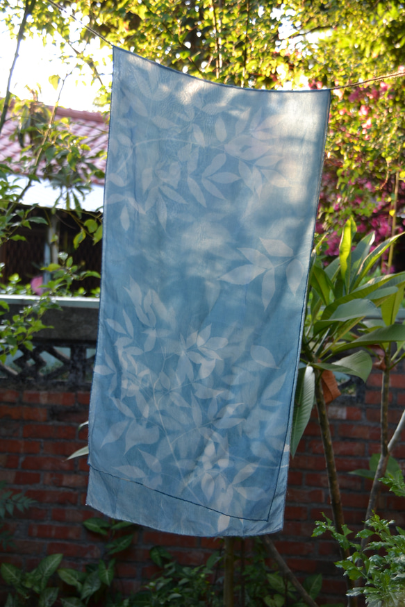 藍曬絲巾 - 飄逸接骨木 Botanic Cyanotype Silk Scarf - Elder Leaves 第4張的照片