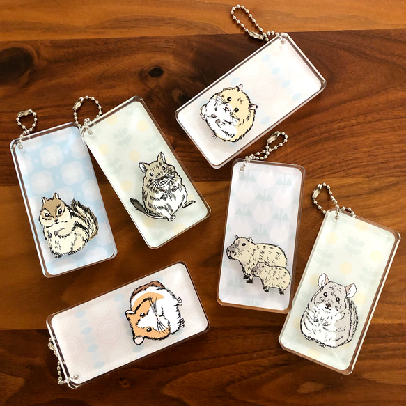 ワンピース ドミノ風 アクリルキーホルダー 6個セット ワンピース ドミノ風 アクリルキーホルダー 6個セット ONE PIECE