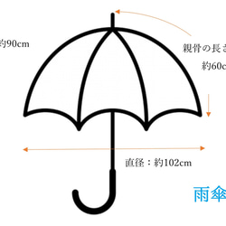  第9張的照片