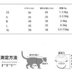  第8張的照片