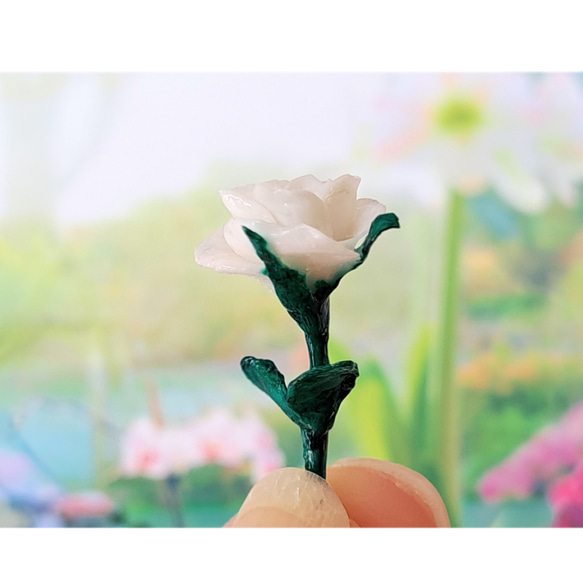 純白の薔薇　ミニチュア 2枚目の画像