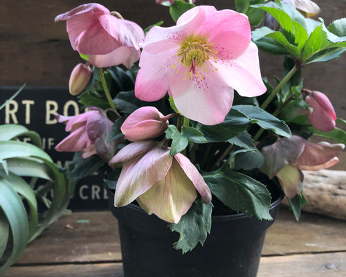 a9fa830d42b34bc8ba21ca94924c88