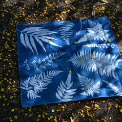 藍曬方巾 - 美蕨 Botanic Cyanotype Square Scarf - Ferns 第1張的照片