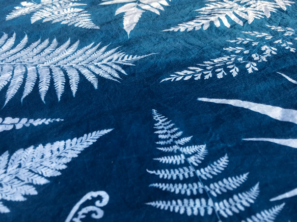 藍曬方巾 - 美蕨 Botanic Cyanotype Square Scarf - Ferns 第5張的照片