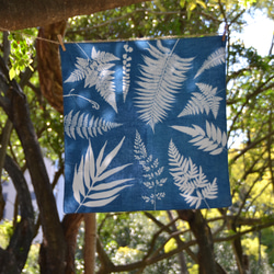 藍曬方巾 - 美蕨 Botanic Cyanotype Square Scarf - Ferns 第2張的照片