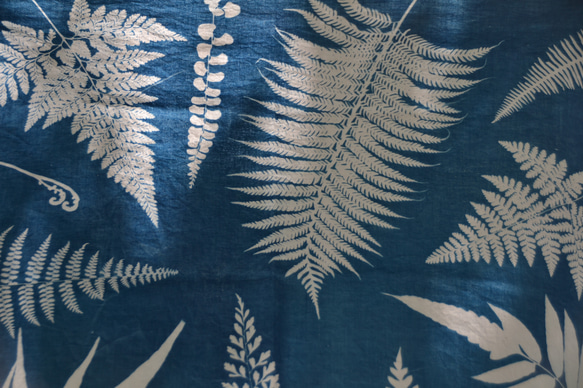 藍曬方巾 - 美蕨 Botanic Cyanotype Square Scarf - Ferns 第4張的照片