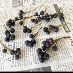 お洒落な木の実シャリンバイドライ小分け❣️ハンドメイド全般お勧め❣️ 2枚目の画像