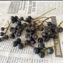 お洒落な木の実シャリンバイドライ小分け❣️ハンドメイド全般お勧め❣️ 1枚目の画像